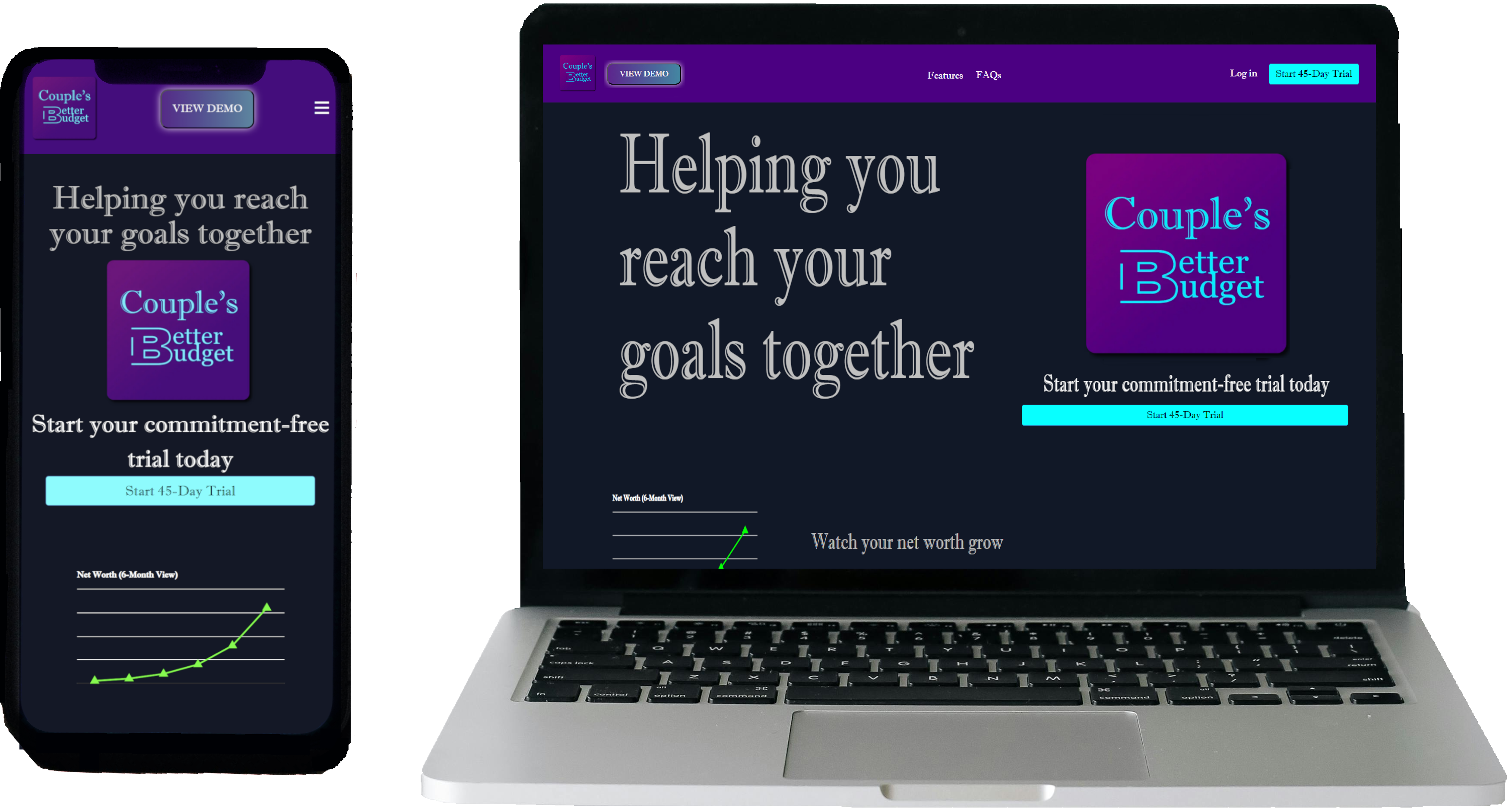 website logo